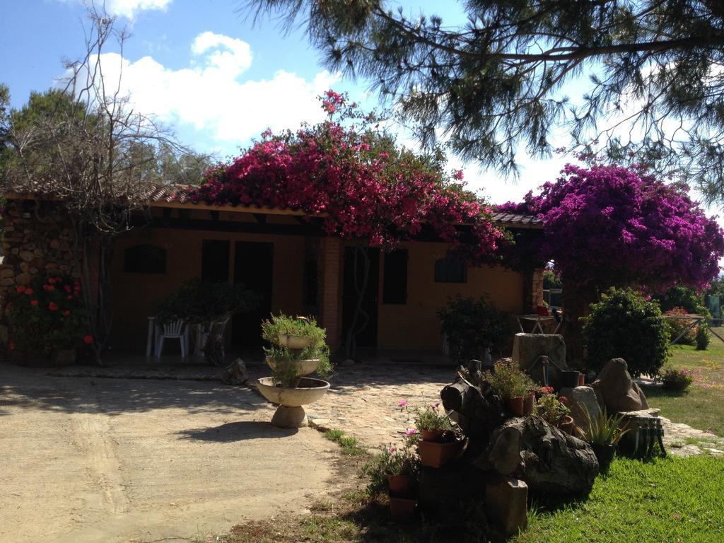 Villa Il Ruscello SantʼAnna Arresi Zimmer foto